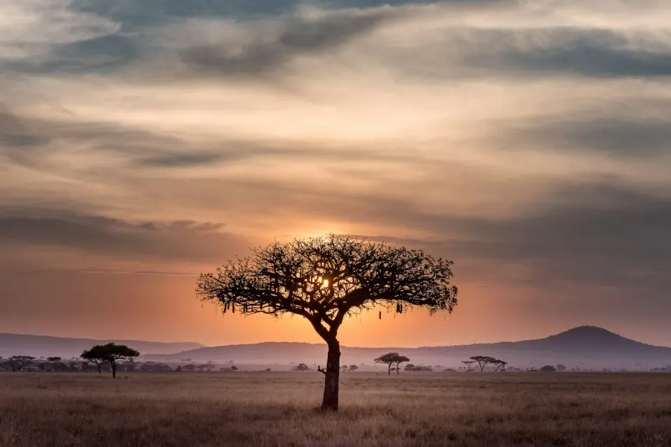 Serengeti, Tanzania
